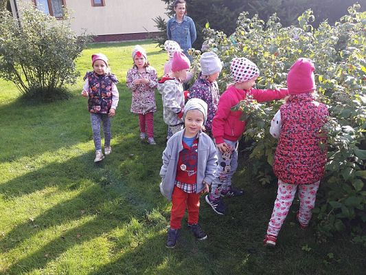 Grafika #33: 27.09.2017 W jesiennym ogrodzie