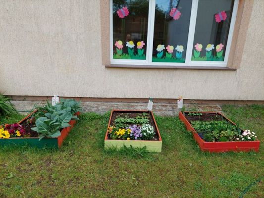 Grafika #0: 13.07.2022 Tak rosną warzywa w naszym ogródku - fotorelacja