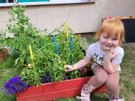 Grafika #14: 13.07.2022 Tak rosną warzywa w naszym ogródku - fotorelacja