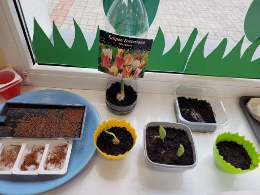 Grafika #6: 16.03.2022 W wiosennym ogródeczku gr1