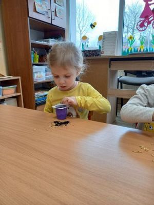 Grafika #14: 16.03.2022 W wiosennym ogródeczku gr1