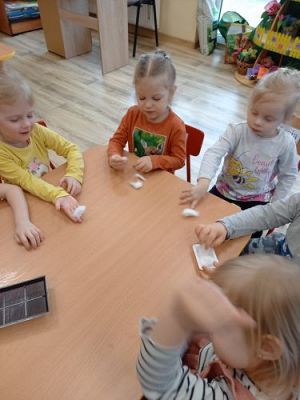 Grafika #20: 16.03.2022 W wiosennym ogródeczku gr1