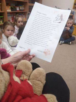 Grafika #15: 25.11.2021 Dzień pluszowego misia gr.II