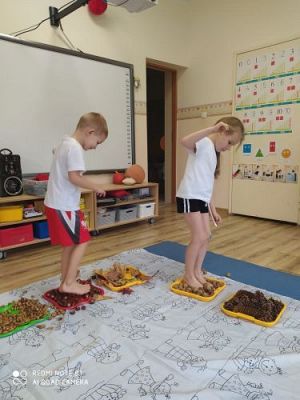 Grafika #9: Zajęcia integracji sensorycznej w grupie III