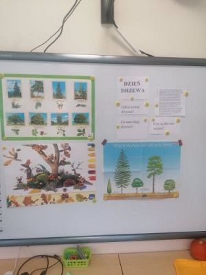 Grafika #0: 11.10.2021 Dzień drzewa gr III