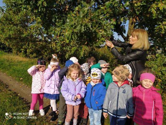 Grafika #0: 08.10.2021 Spacer w kolorach jesieni