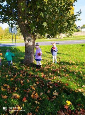 Grafika #1: 08.10.2021 Spacer w kolorach jesieni