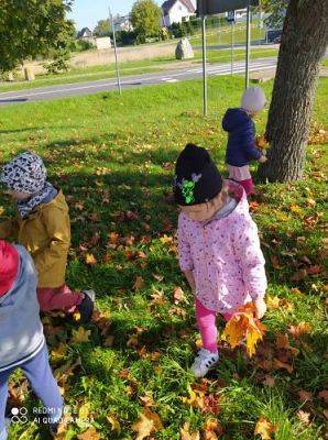 Grafika #6: 08.10.2021 Spacer w kolorach jesieni