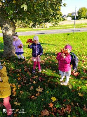 Grafika #8: 08.10.2021 Spacer w kolorach jesieni