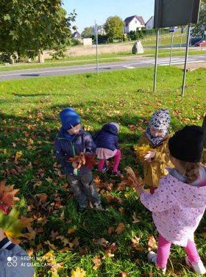 Grafika #11: 08.10.2021 Spacer w kolorach jesieni