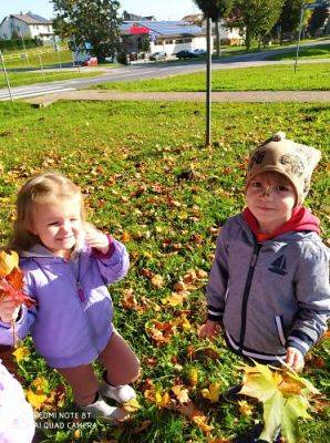 Grafika #15: 08.10.2021 Spacer w kolorach jesieni