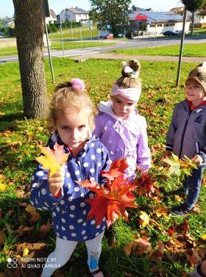 Grafika #16: 08.10.2021 Spacer w kolorach jesieni