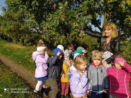 Grafika #18: 08.10.2021 Spacer w kolorach jesieni