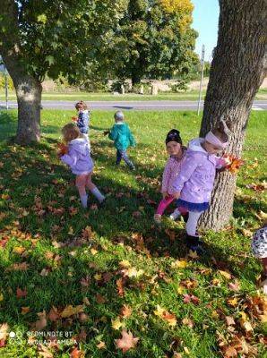 Grafika #19: 08.10.2021 Spacer w kolorach jesieni