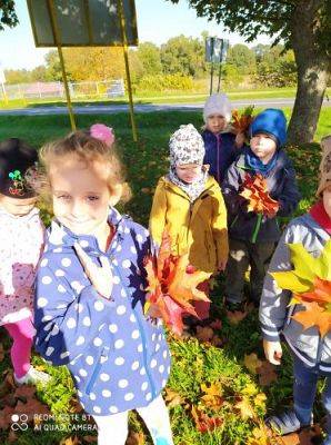 Grafika #28: 08.10.2021 Spacer w kolorach jesieni