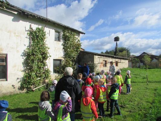 Grafika #4: 21.09.2021 Wycieczka do sadu i ogrodu