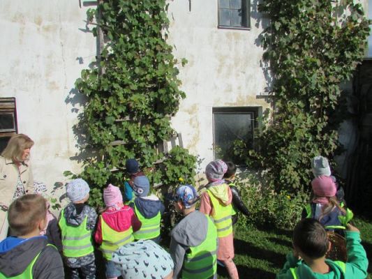 Grafika #5: 21.09.2021 Wycieczka do sadu i ogrodu