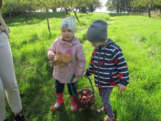 Grafika #11: 21.09.2021 Wycieczka do sadu i ogrodu