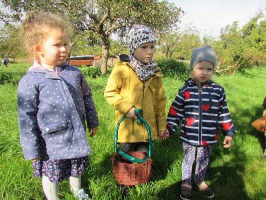 Grafika #12: 21.09.2021 Wycieczka do sadu i ogrodu