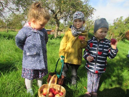 Grafika #13: 21.09.2021 Wycieczka do sadu i ogrodu