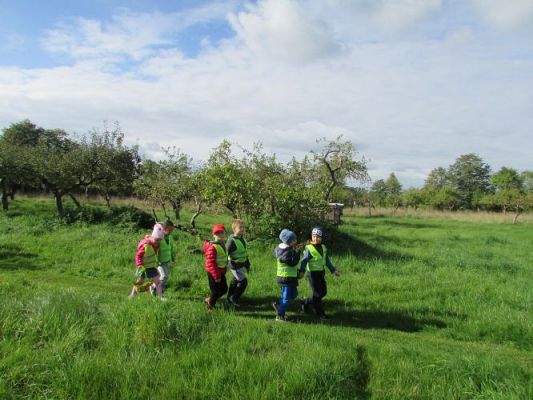 Grafika #17: 21.09.2021 Wycieczka do sadu i ogrodu