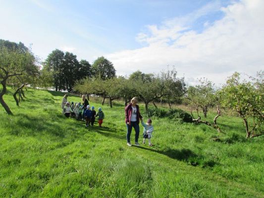 Grafika #19: 21.09.2021 Wycieczka do sadu i ogrodu