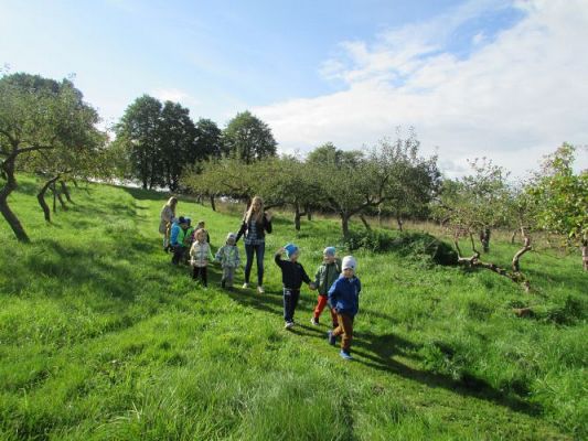 Grafika #20: 21.09.2021 Wycieczka do sadu i ogrodu