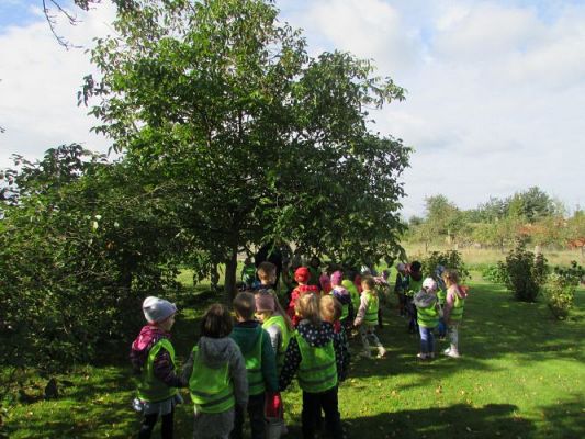 Grafika #21: 21.09.2021 Wycieczka do sadu i ogrodu