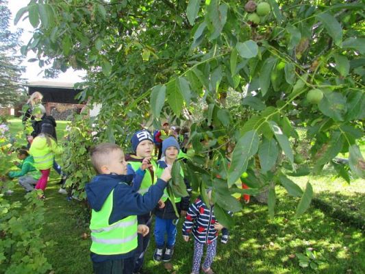 Grafika #25: 21.09.2021 Wycieczka do sadu i ogrodu