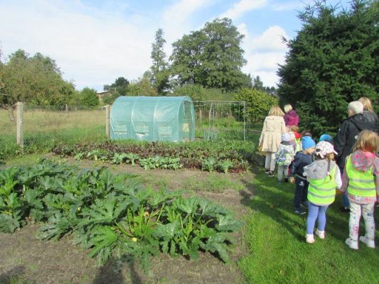Grafika #28: 21.09.2021 Wycieczka do sadu i ogrodu