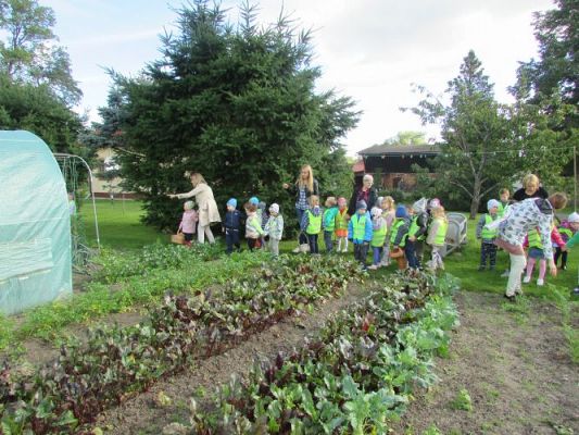 Grafika #30: 21.09.2021 Wycieczka do sadu i ogrodu