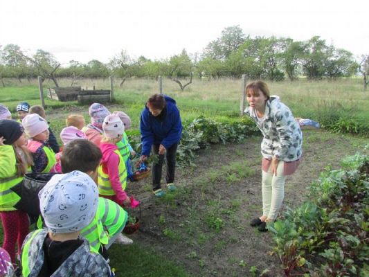 Grafika #32: 21.09.2021 Wycieczka do sadu i ogrodu