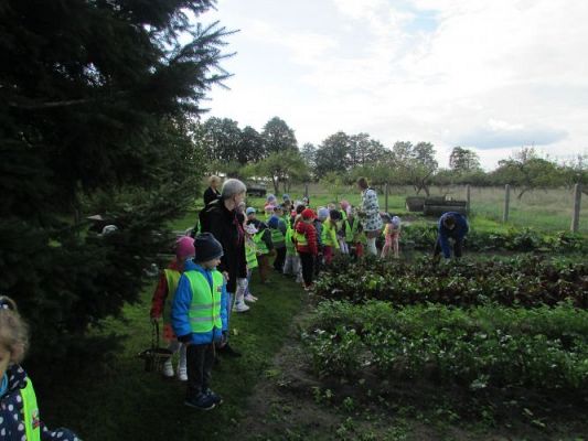 Grafika #34: 21.09.2021 Wycieczka do sadu i ogrodu