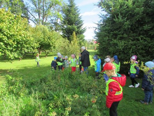 Grafika #35: 21.09.2021 Wycieczka do sadu i ogrodu