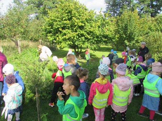 Grafika #36: 21.09.2021 Wycieczka do sadu i ogrodu