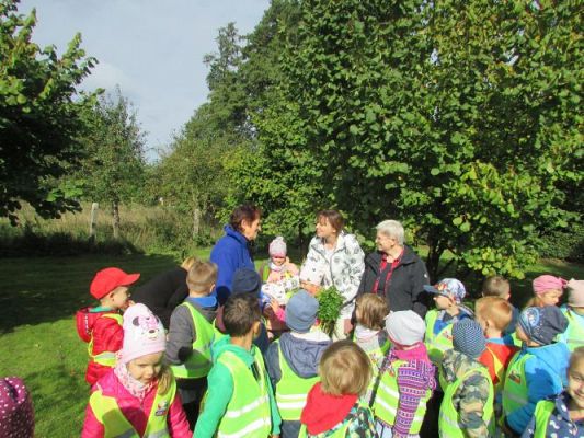 Grafika #42: 21.09.2021 Wycieczka do sadu i ogrodu