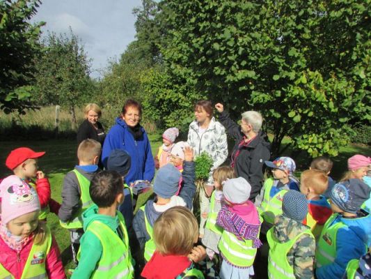 Grafika #43: 21.09.2021 Wycieczka do sadu i ogrodu