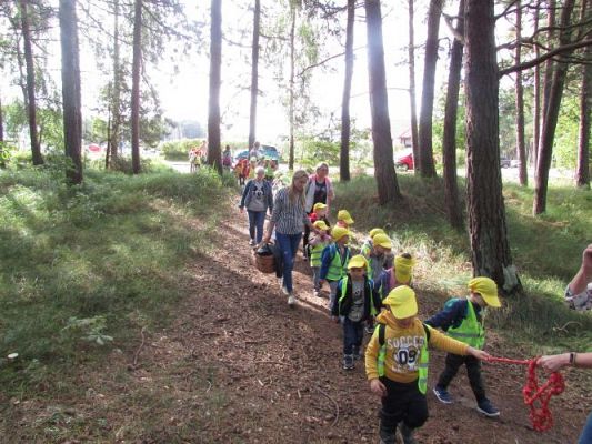 Grafika #17: 15.09.2021 Wycieczka do Łeby - Spacer po lesie