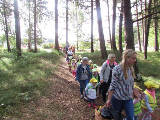 Grafika #18: 15.09.2021 Wycieczka do Łeby - Spacer po lesie