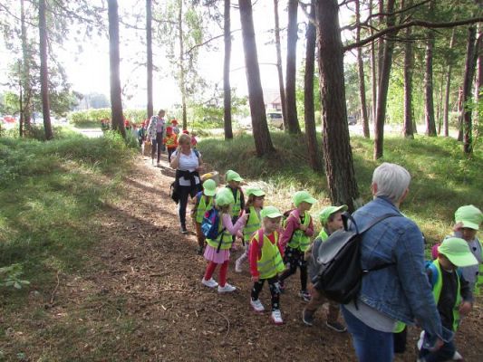 Grafika #19: 15.09.2021 Wycieczka do Łeby - Spacer po lesie