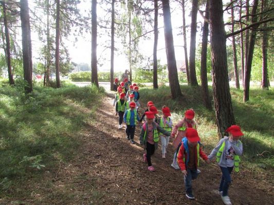 Grafika #21: 15.09.2021 Wycieczka do Łeby - Spacer po lesie