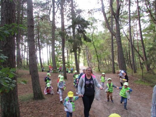 Grafika #23: 15.09.2021 Wycieczka do Łeby - Spacer po lesie