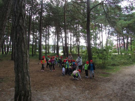 Grafika #24: 15.09.2021 Wycieczka do Łeby - Spacer po lesie