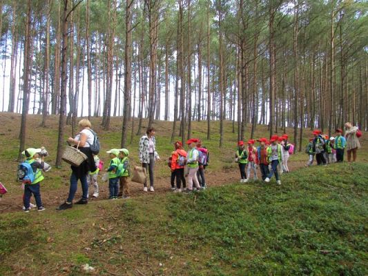 Grafika #28: 15.09.2021 Wycieczka do Łeby - Spacer po lesie