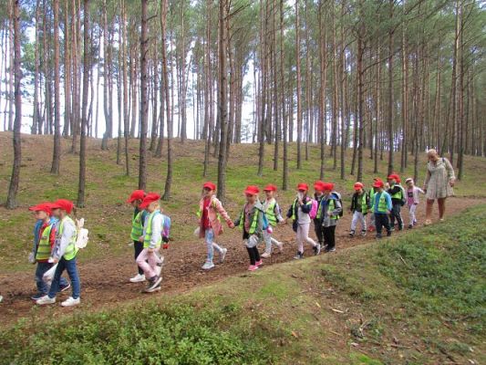 Grafika #30: 15.09.2021 Wycieczka do Łeby - Spacer po lesie