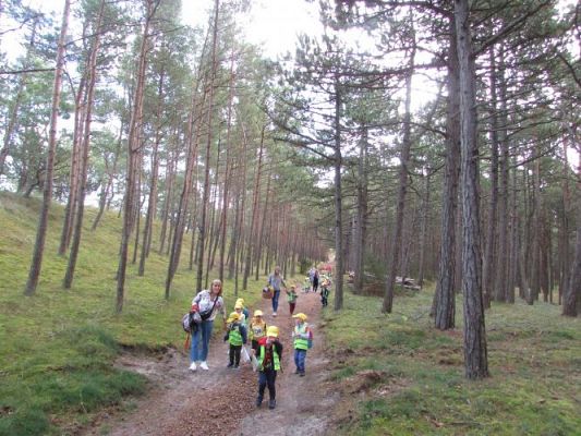 Grafika #31: 15.09.2021 Wycieczka do Łeby - Spacer po lesie