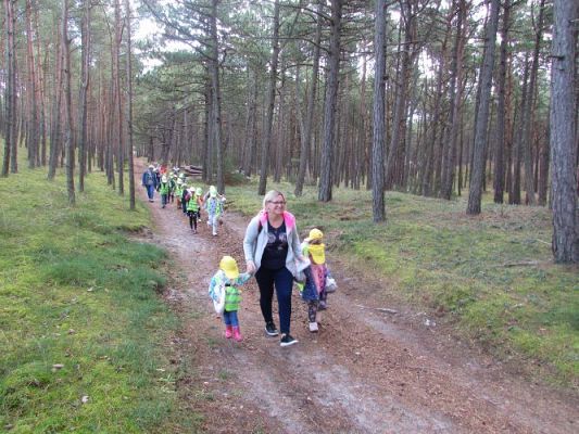 Grafika #35: 15.09.2021 Wycieczka do Łeby - Spacer po lesie