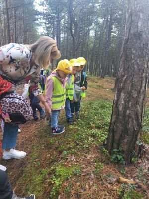 Grafika #0: 15.09.2021 Wycieczka do Łeby - Spacer po lesie