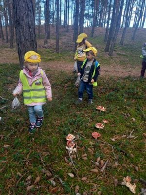 Grafika #6: 15.09.2021 Wycieczka do Łeby - Spacer po lesie