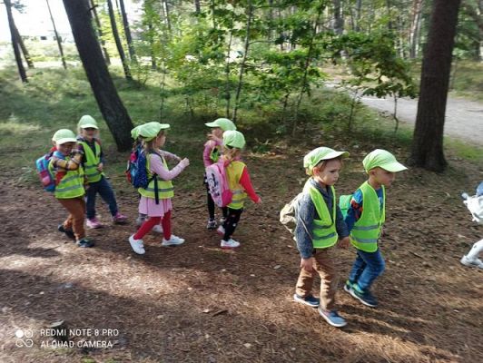 Grafika #12: 15.09.2021 Wycieczka do Łeby - Spacer po lesie